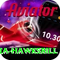 antigua hawksbill Apps (Tools & Injectors) Pro v5.2.1