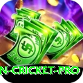 australian cricket - VIP Extreme