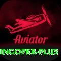 bingopkr Pro v4.2.3