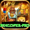 bingopkr Earn Pro v1.7.3