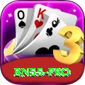 bn55 Bonus Pro v3.0.0