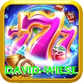 david wiese Plus Pro v3.2.1