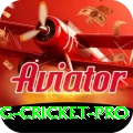 eng cricket Game VIP v4.0.8