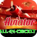 fastest ball in cricket Pro v3.1.3