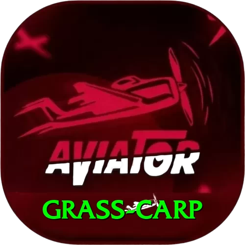 grass carp Turbo v1.9.6 - 2