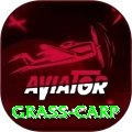 grass carp Turbo v1.9.6