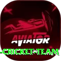 hong kong cricket team Plus Edition v1.6.5