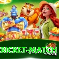 india cricket match Deluxe Edition v2.2.2