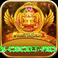 india pakistan cricket Premium PK v1.7.2