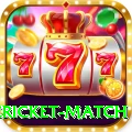 international cricket match Ultimate v2.8.6