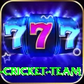 ireland cricket team Pro v5.2.8