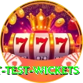 most test wickets Pro Max v5.2.9