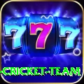 mumbai cricket team Pro1 v2.5.3