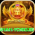 naseem shah yorkers Gold Edition v2.1.2
