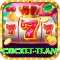 new zealand cricket team Turbo v3.1.3