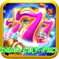 next t20 world cup VIP - Win Real PKR