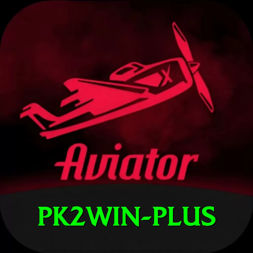 pk2win Elite Pro v3.9.9 - 2