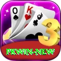 PKWin Premium PK v1.7.9