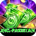 responsible gambling pakistan Deluxe Edition v5.1.4