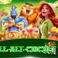 risk free bet cricket Max v5.5.1