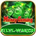 steve waugh Plus Edition v4.0.6