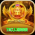 tiger888 VIP vv5.1.8