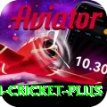 virat kohli cricket Plus v1.5.4
