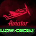 willow cricket Apps (Tools & Injectors) Ultimate v4.8.4